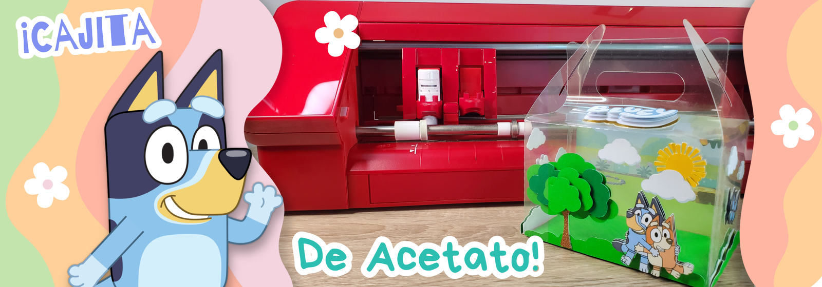 Caja de Acetato de Bluey: Proyecto Paso a Paso